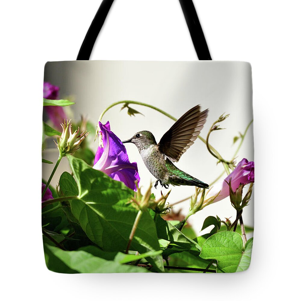 Anna's Hummingbird Tote Bag featuring the photograph Anna's Hummingbird #11 by Amazing Action Photo Video