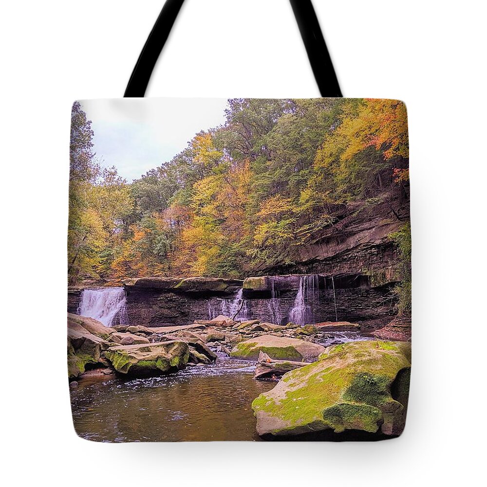  Tote Bag featuring the photograph Great Falls #11 by Brad Nellis