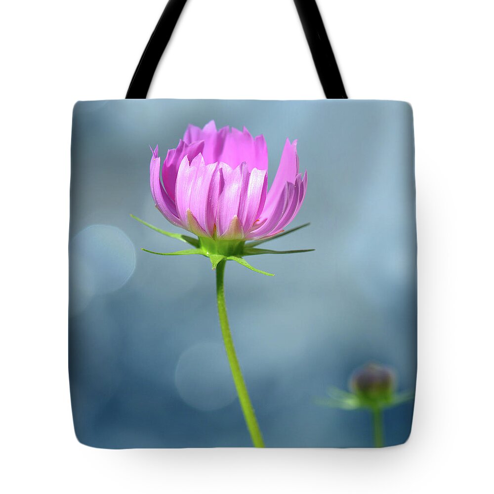  Tote Bag featuring the photograph Chrysanthemum series #12 by Yue Wang