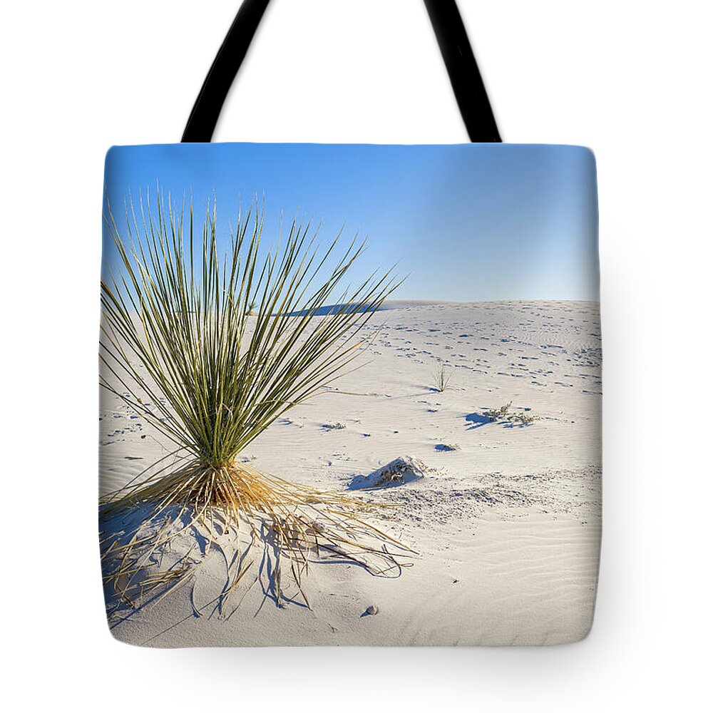 Chihuahuan Desert Tote Bag featuring the photograph White Sands Gypsum Dunes #12 by Raul Rodriguez