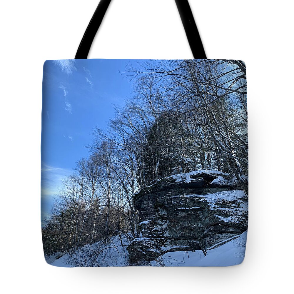  Tote Bag featuring the photograph Winter Wonderland #12 by Annamaria Frost