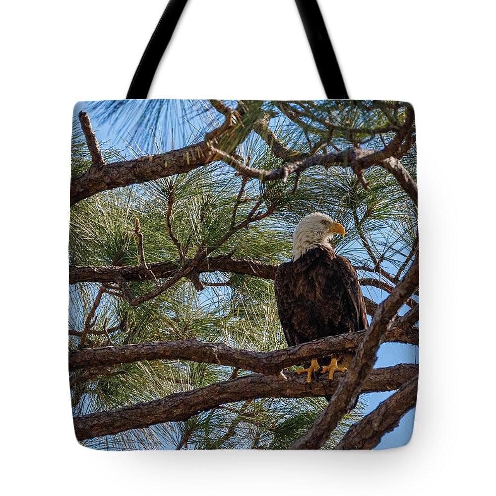 Bird Tote Bag featuring the photograph 1262 by Les Greenwood