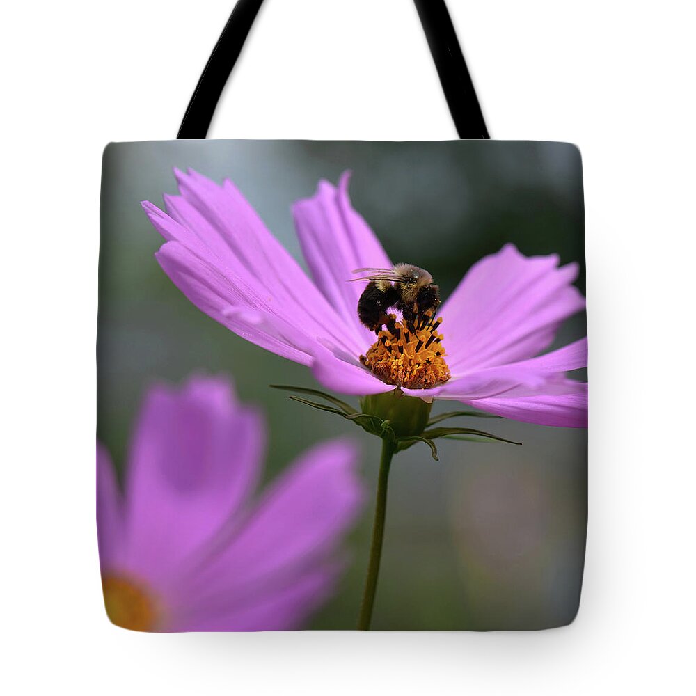  Tote Bag featuring the photograph Chrysanthemum series #13 by Yue Wang