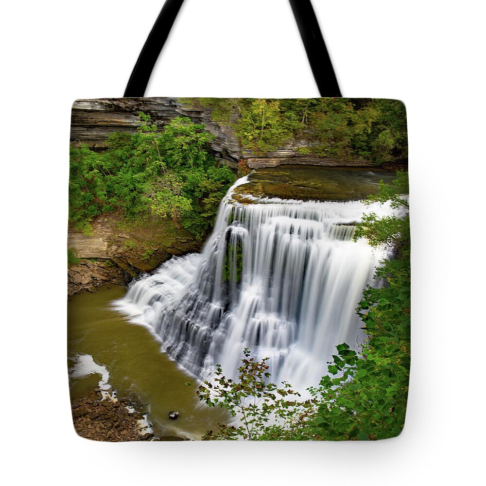 Falls Tote Bag featuring the photograph 136 Feet by Gina Fitzhugh