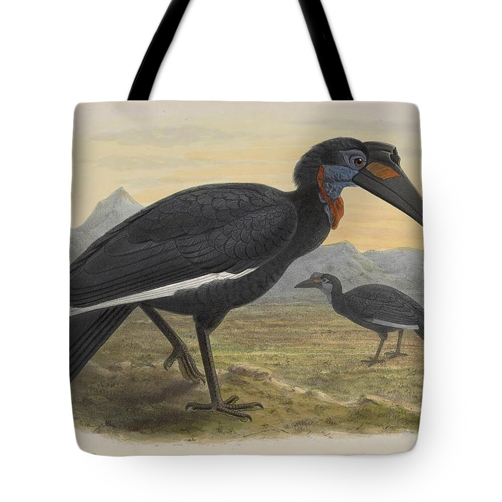 Hornbill Tote Bag featuring the mixed media Antique Hornbill illustration #14 by World Art Collective