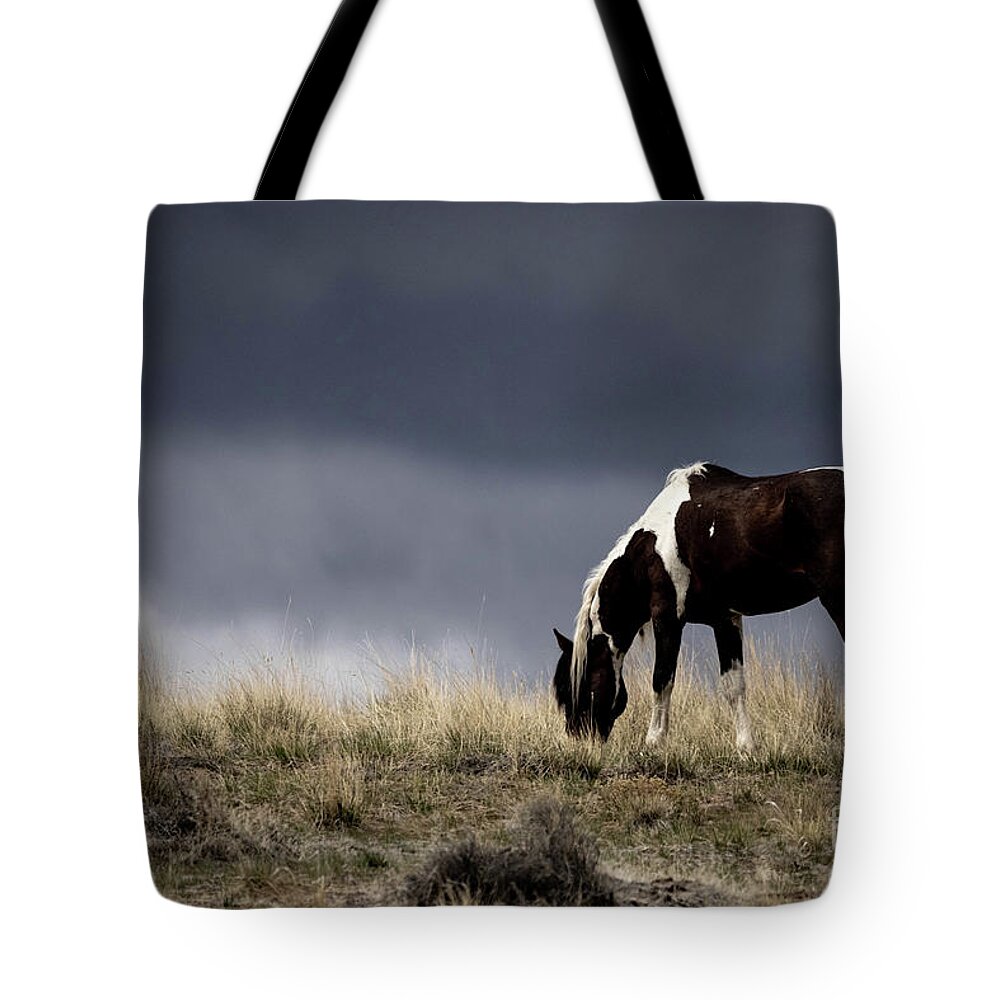 Mustangs Tote Bag featuring the photograph Wild Horses #14 by Julie Argyle
