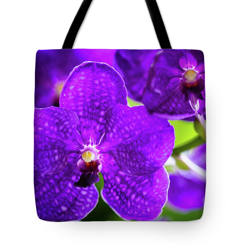 Background Tote Bag featuring the photograph Purple Orchid Flowers #16 by Raul Rodriguez