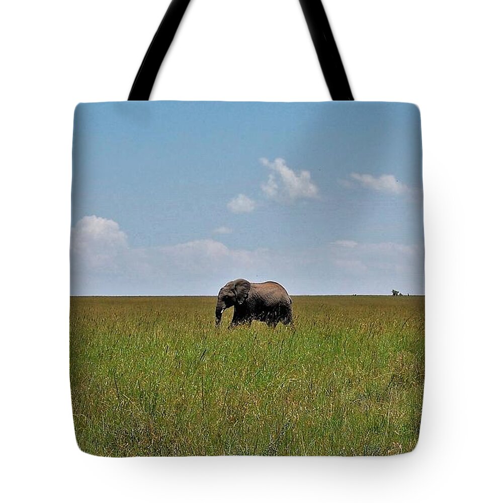  Tote Bag featuring the photograph 16k by Jay Handler