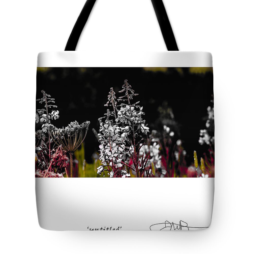 Signed Limited Edition Of 10 Tote Bag featuring the digital art 18 by Jerald Blackstock