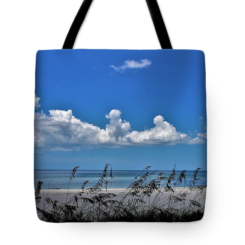  Tote Bag featuring the photograph Naples Beach by Donn Ingemie