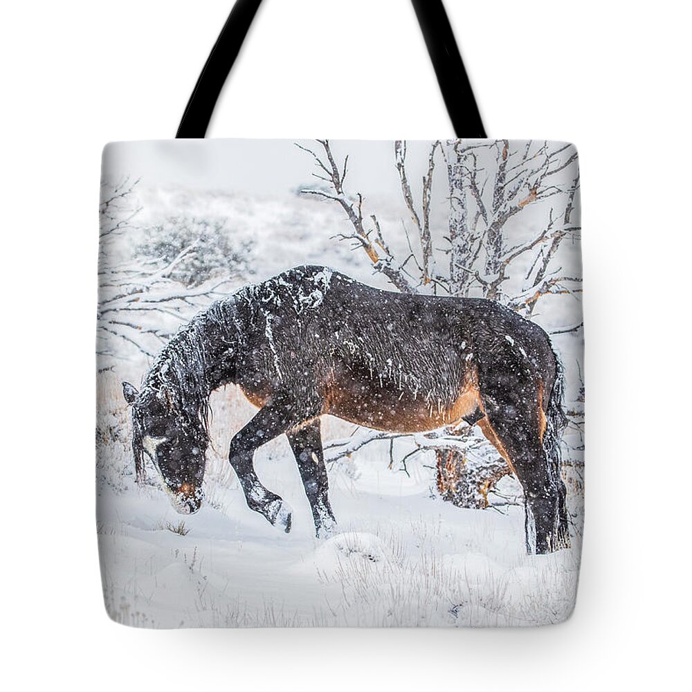  Tote Bag featuring the photograph 1dx27972 by John T Humphrey