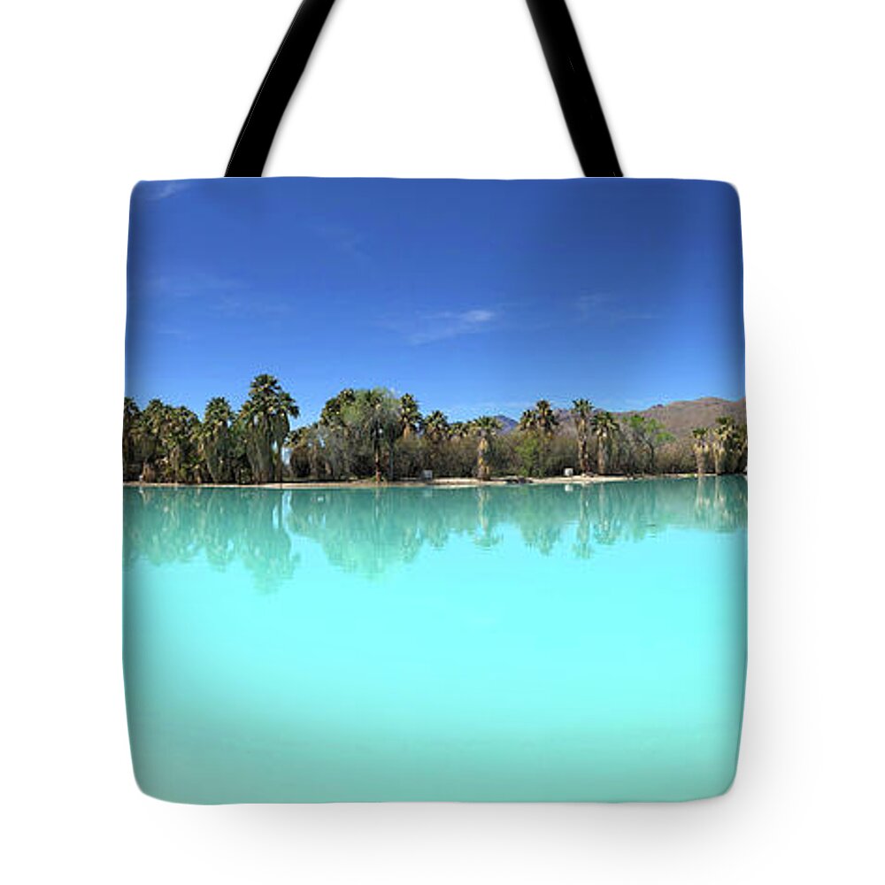 Agua Caliente Tote Bag featuring the photograph Agua Caliente Park #2 by Chris Smith