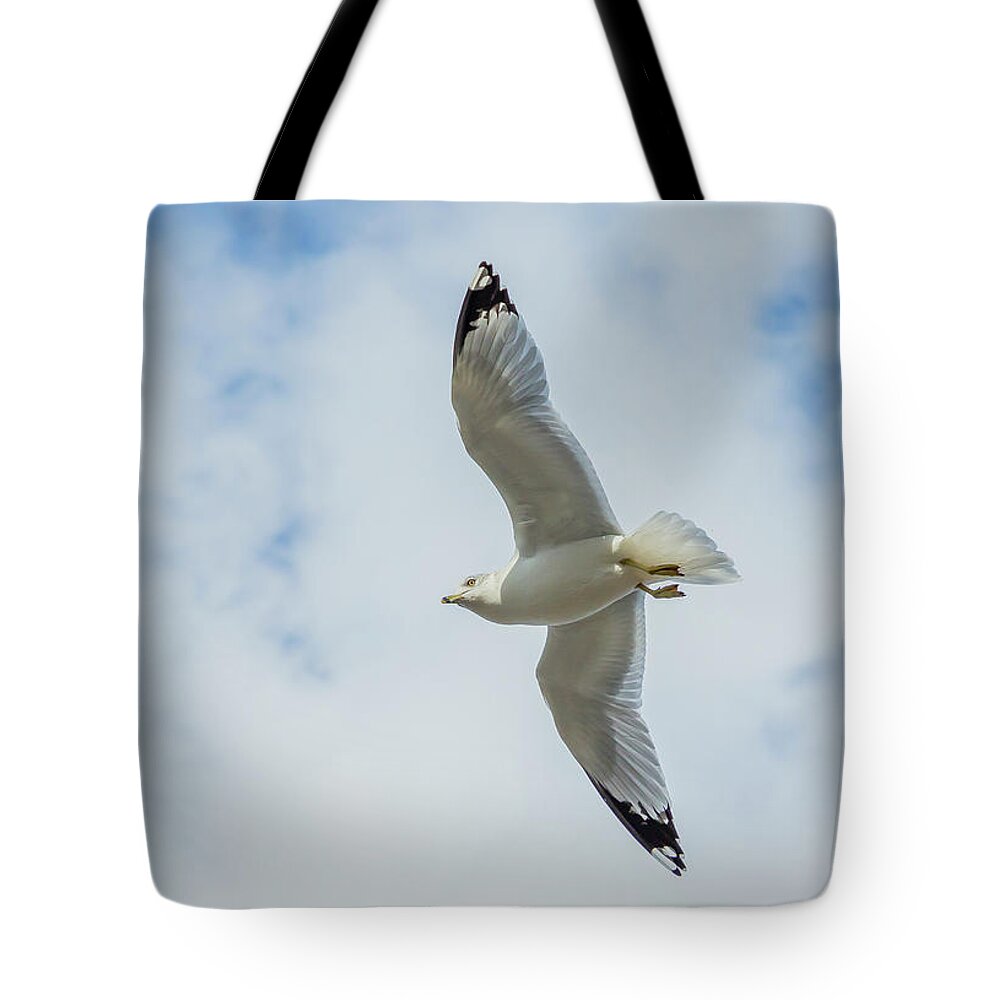 Seagull Tote Bag featuring the photograph Among the Clouds #2 by Cate Franklyn