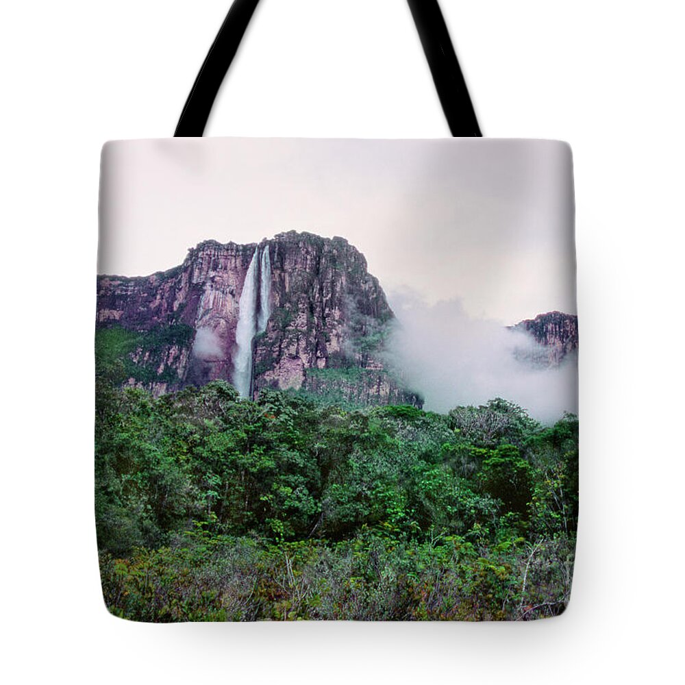 Dave Welling Tote Bag featuring the photograph Angel Falls Canaima National Park Venezuela by Dave Welling