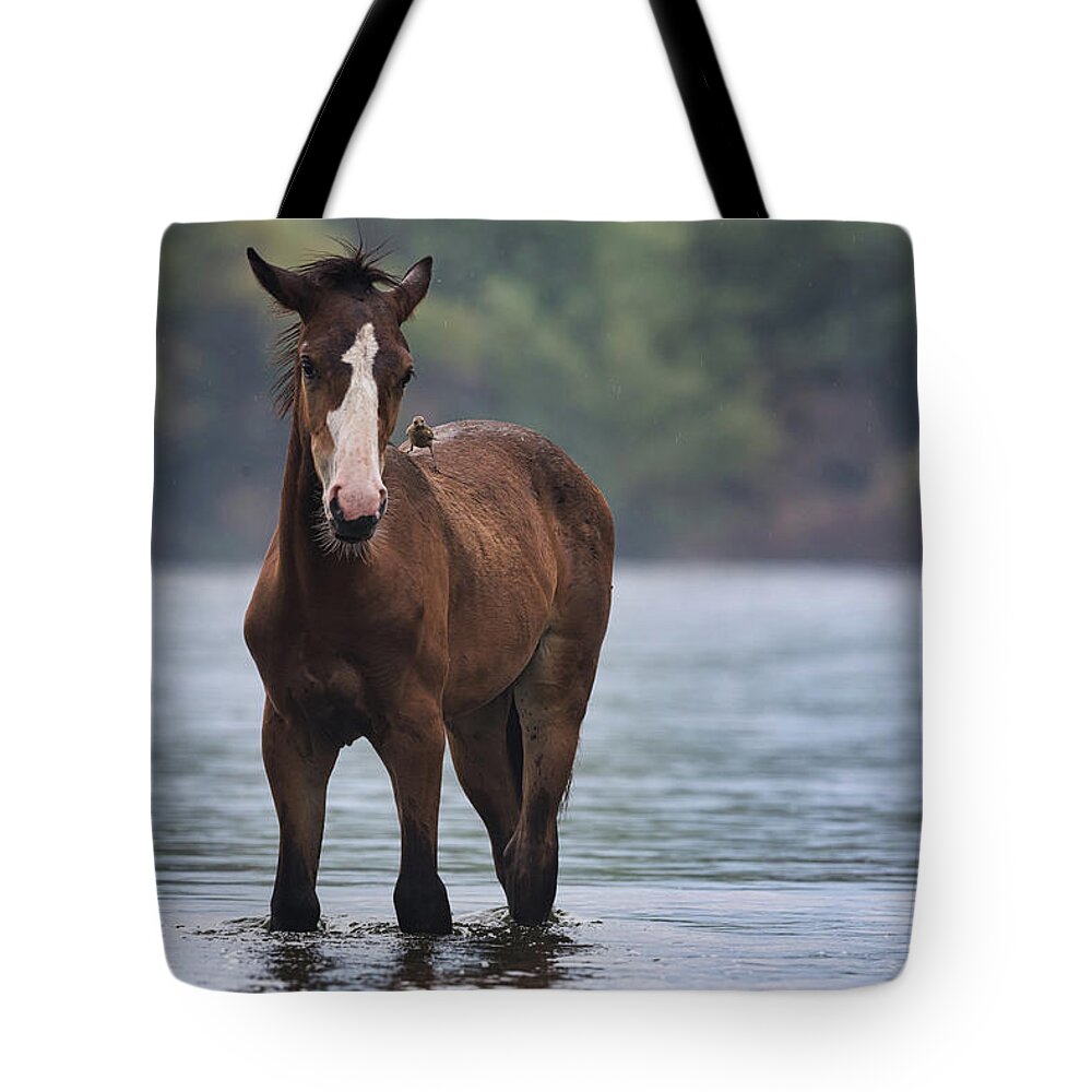 Yearling Tote Bag featuring the photograph 2 Birds by Shannon Hastings