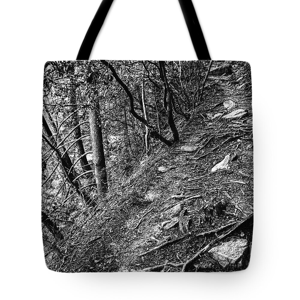 Tennessee Tote Bag featuring the photograph Black And White Trail #2 by Phil Perkins