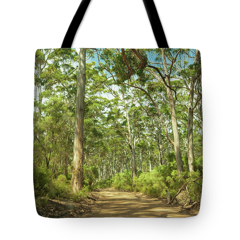 Green Tote Bag featuring the photograph Boranup Forest, Nr. Margaret River, Western Australia by Elaine Teague