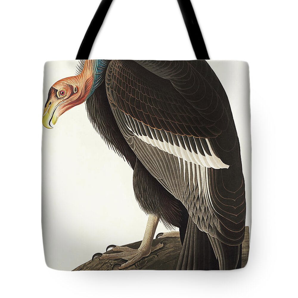 Audubon Birds Tote Bag featuring the drawing Californian Vulture #2 by John James Audubon