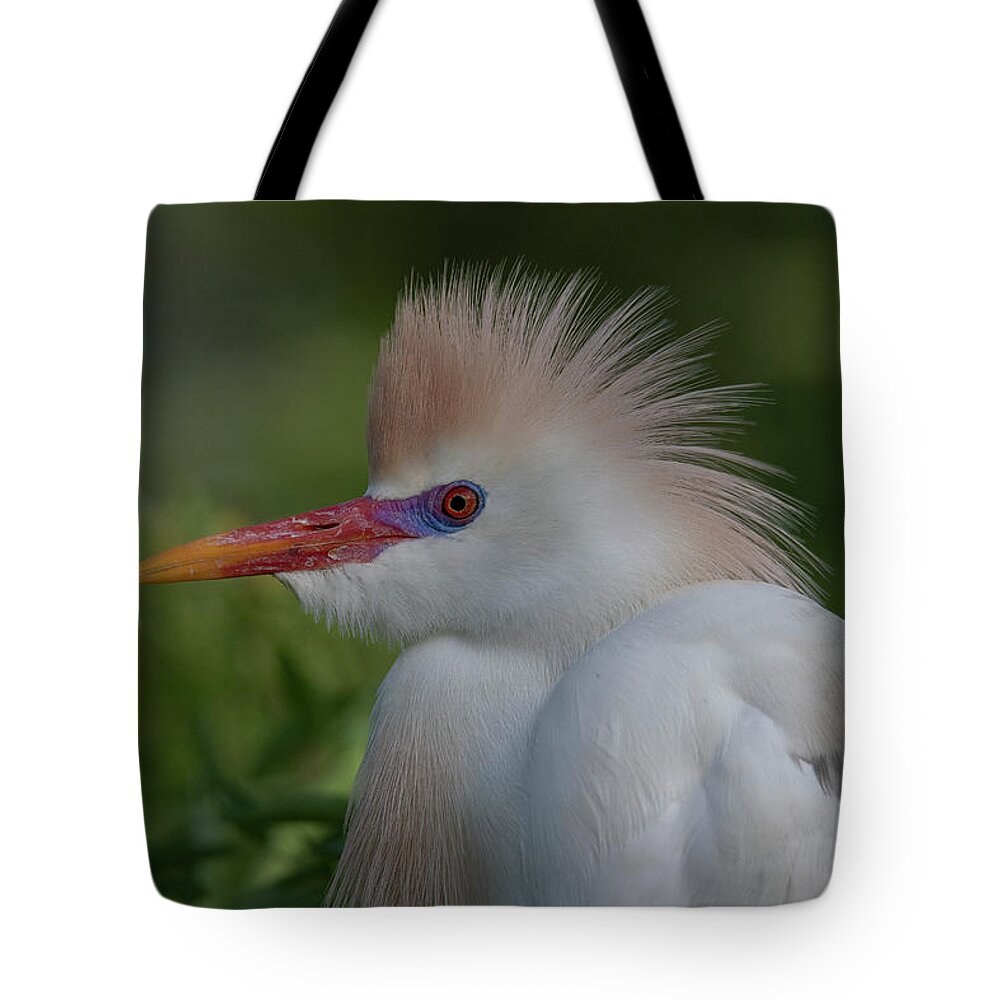 Cattle Tote Bag featuring the photograph Cattle Egret #3 by Carolyn Hutchins