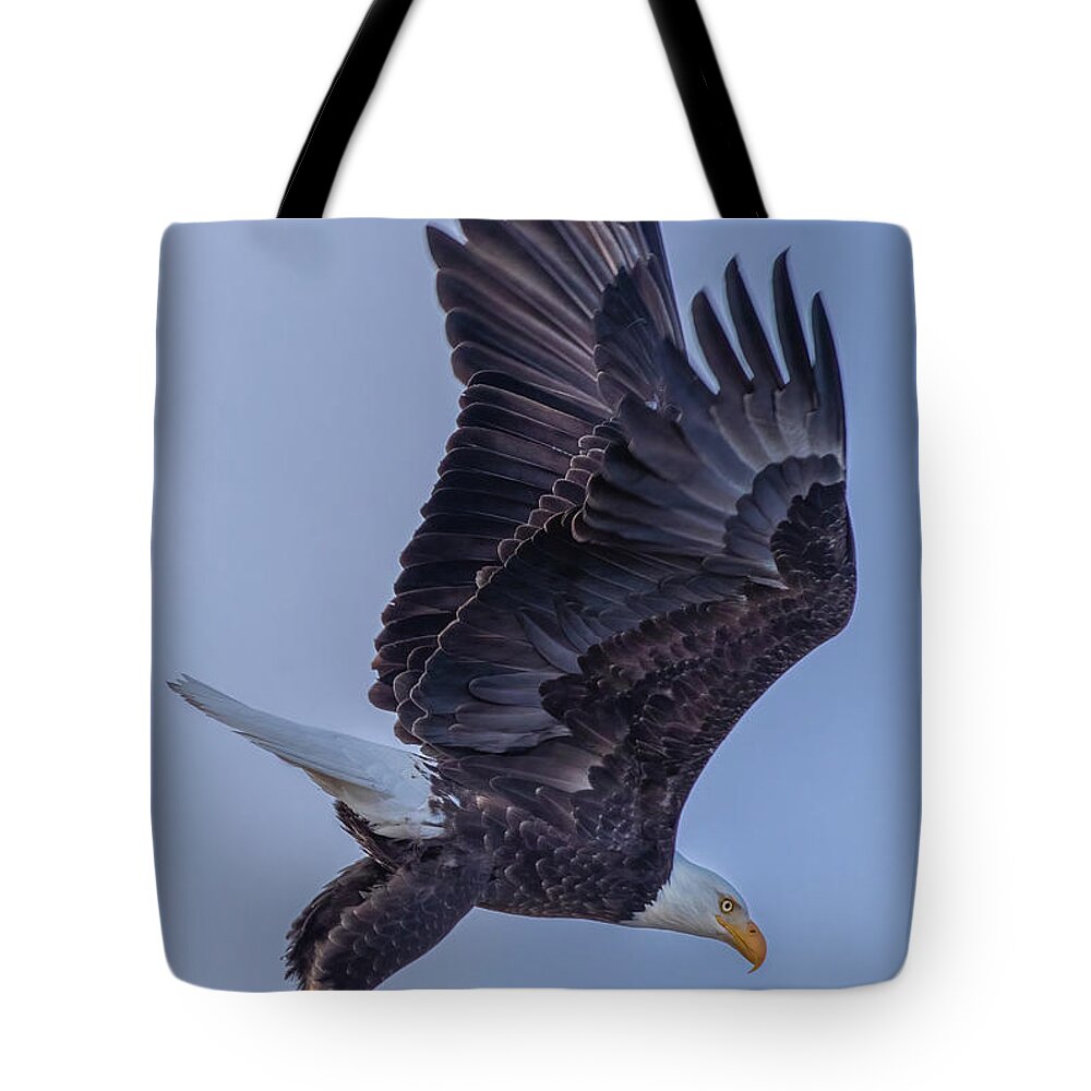 Eagle Tote Bag featuring the photograph Eagle Portrait by Randy Robbins
