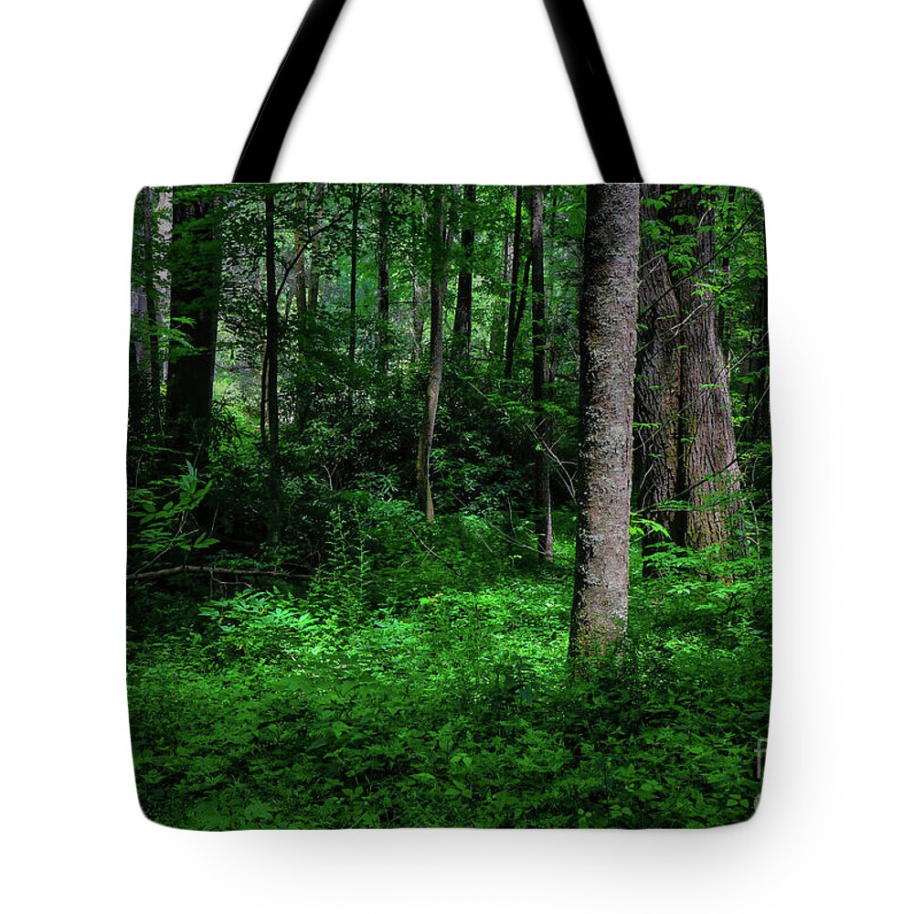 Blue Ridge Tote Bag featuring the photograph Early Morning Light by Shelia Hunt