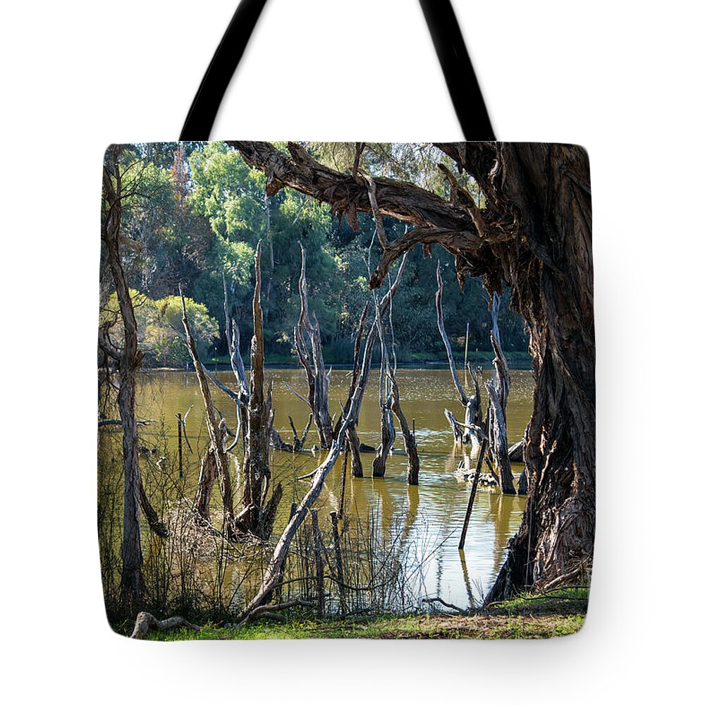 Trees Tote Bag featuring the photograph Eric Singleton Bird Sanctuary, Bayswater, Western Australia #2 by Elaine Teague
