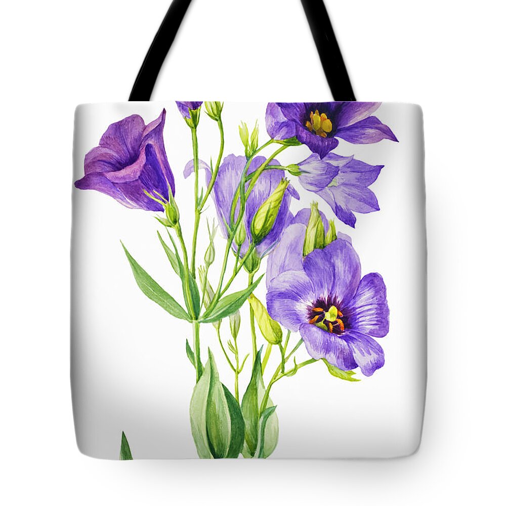 Mary Drawings Tote Bags