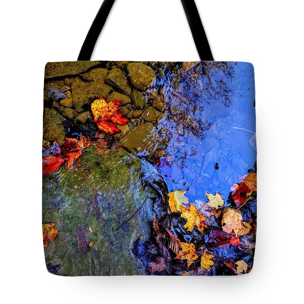  Tote Bag featuring the photograph Fall Leaves by Brad Nellis