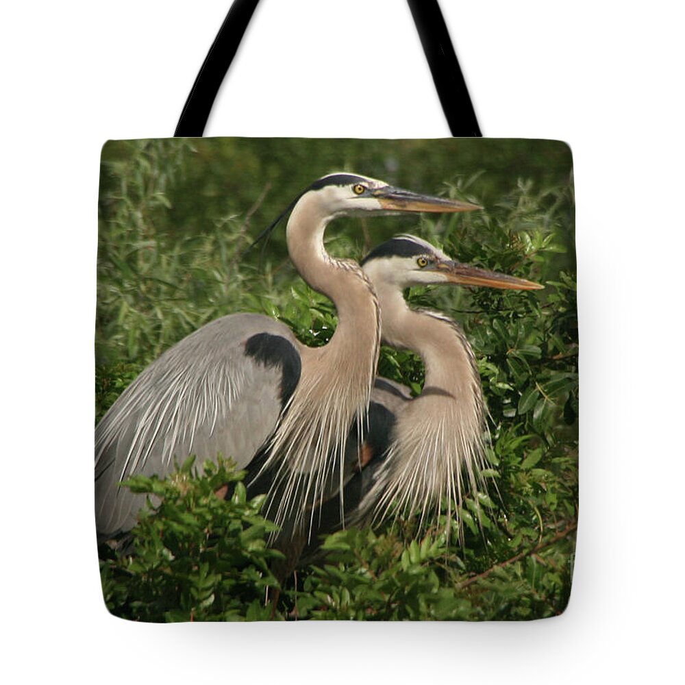 Nature Tote Bag featuring the photograph Family Portrait by Mariarosa Rockefeller