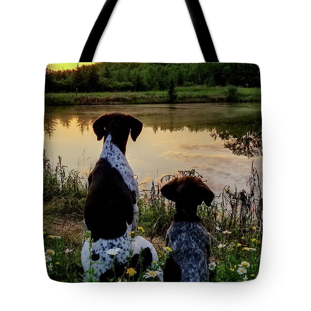 German Shorthaired Tote Bag featuring the photograph German Shorthaired Pointer #2 by Brook Burling