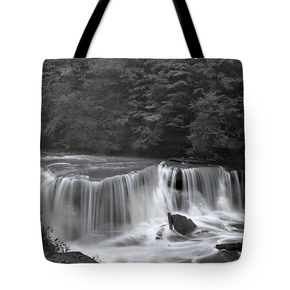  Tote Bag featuring the photograph Great Falls by Brad Nellis