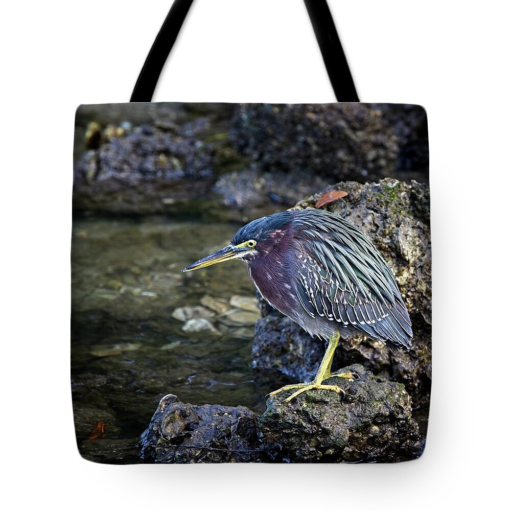 Green Heron Tote Bag featuring the photograph Green Heron #2 by Ronald Lutz