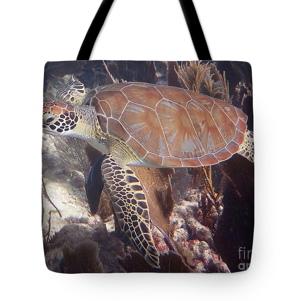 Underwater Tote Bag featuring the photograph Green Sea Turtle 31 #2 by Daryl Duda