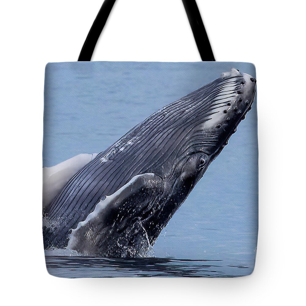 Humpback Whale Eye Tote Bag featuring the photograph Humpback Whale Breaching #2 by Loriannah Hespe
