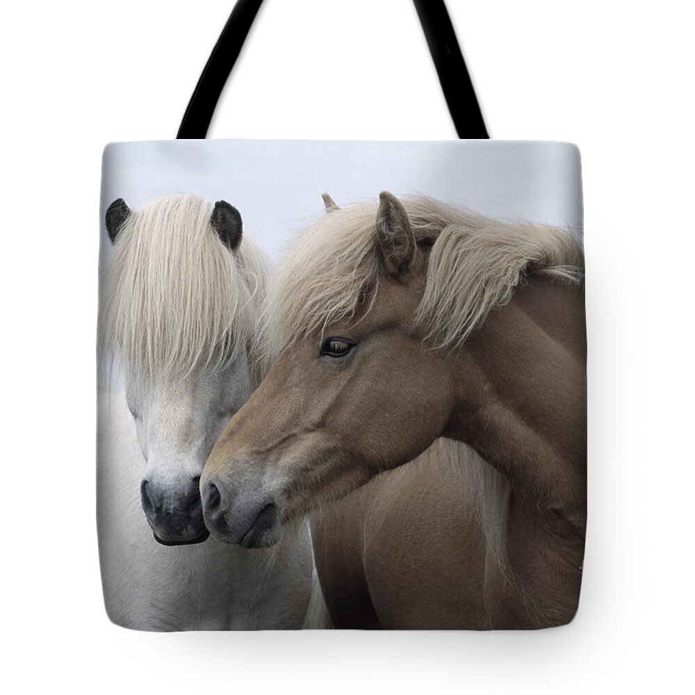 Affection Tote Bag featuring the photograph Icelandic Horses #1 by John Daniels
