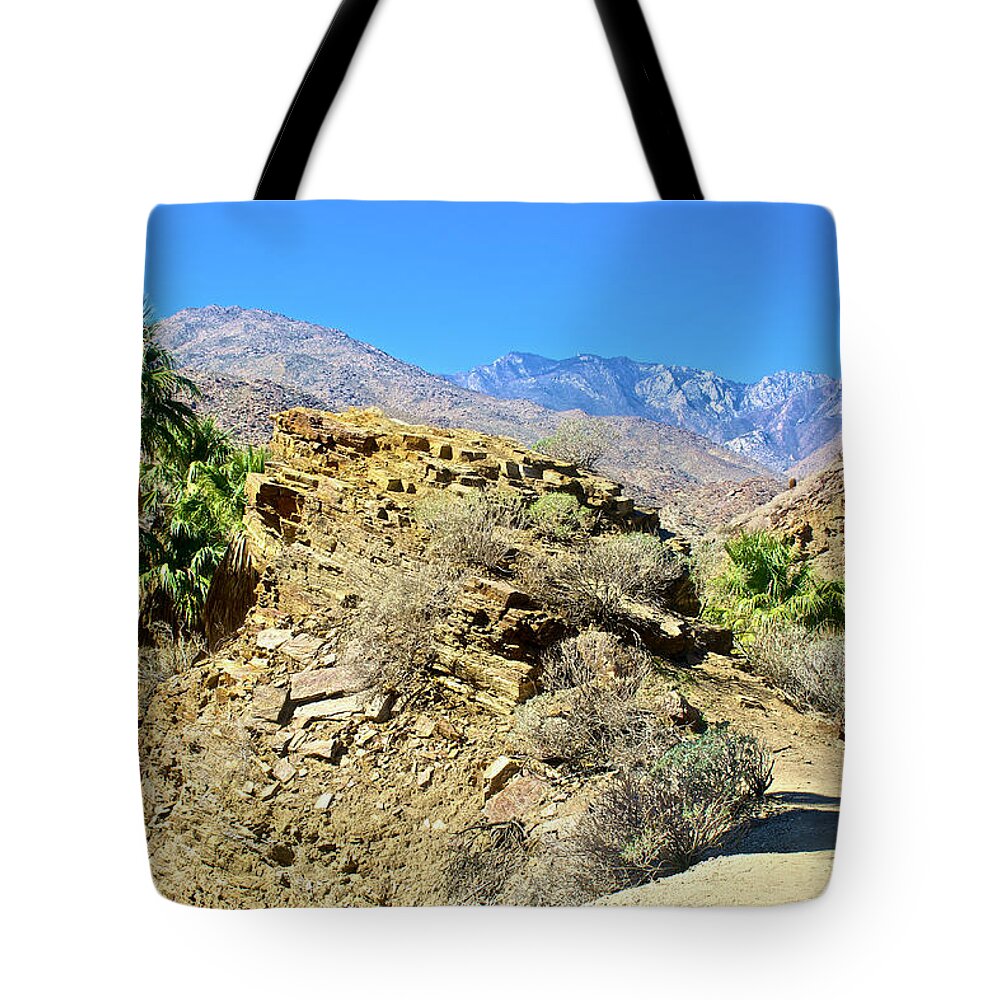 Lower Palm Canyon From Beginning Of Fern Trail In Indian Canyons Near Palm Springs Tote Bag featuring the photograph Lower Palm Canyon Trail in Indian Canyons near Palm Springs, California #2 by Ruth Hager
