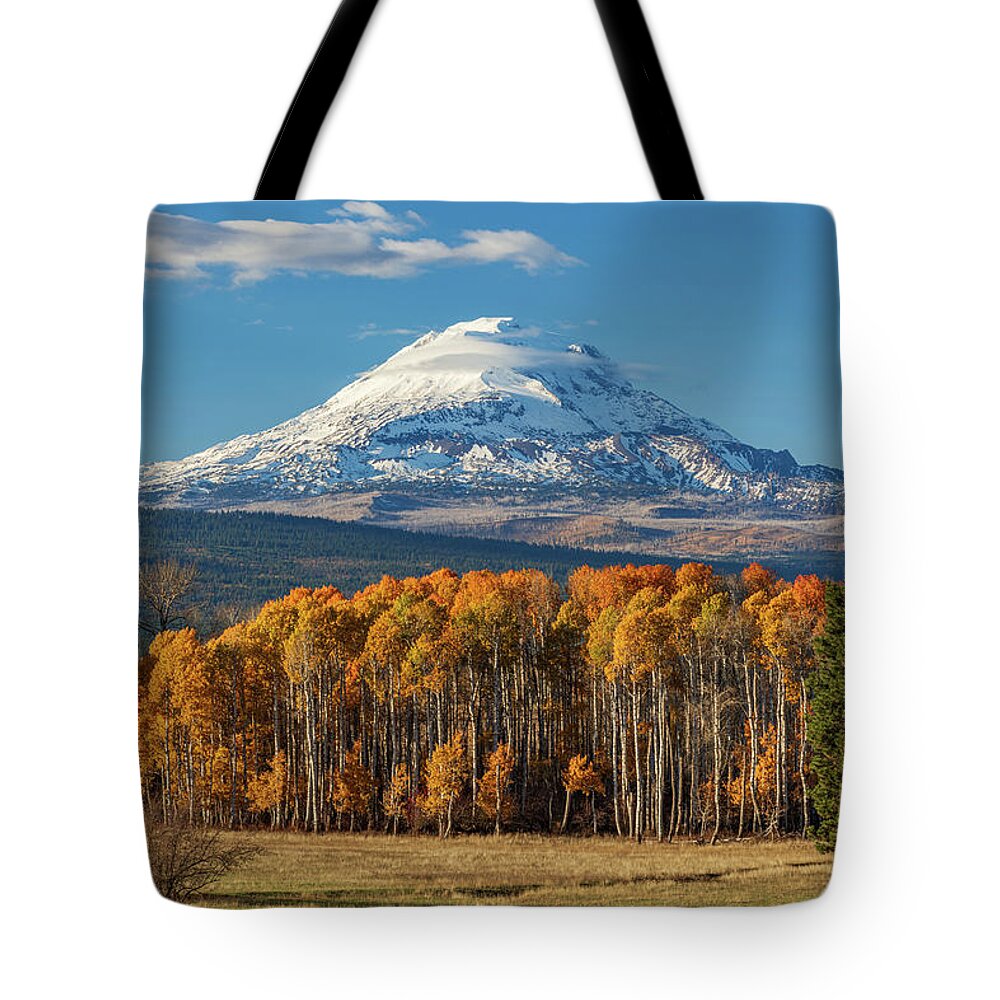 2021 Tote Bag featuring the photograph Mt. Adams in Fall by Patrick Campbell
