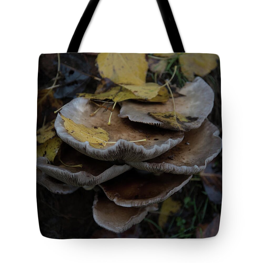 Europe Tote Bag featuring the photograph Mushrooms #2 by Eleni Kouri