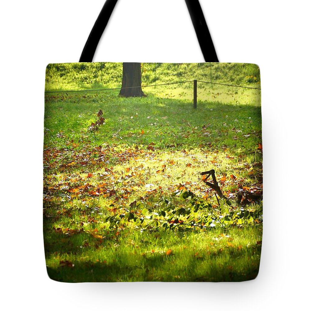 Trees Tote Bag featuring the photograph Parco Cavour. Ottobre 2016 #4 by Marco Cattaruzzi