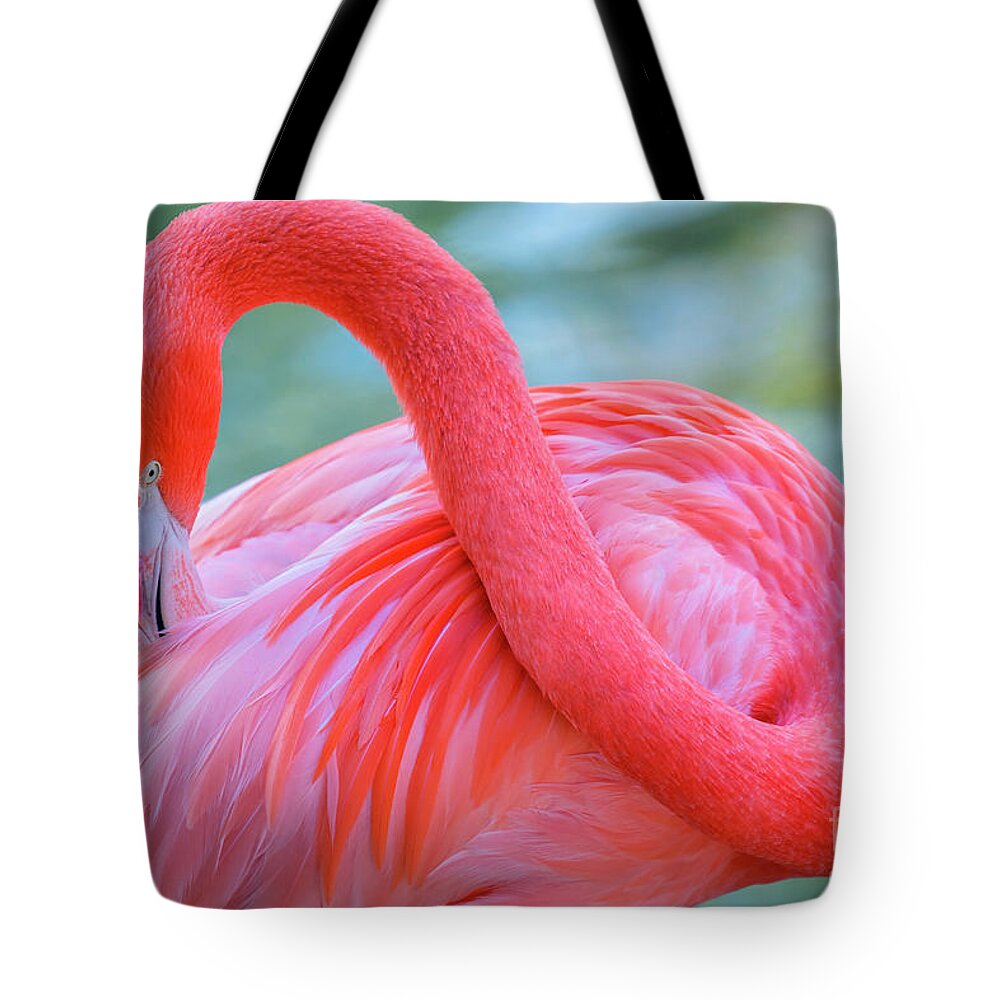 Animal Tote Bag featuring the photograph The Caribbean Flamingo #2 by Julia Hiebaum