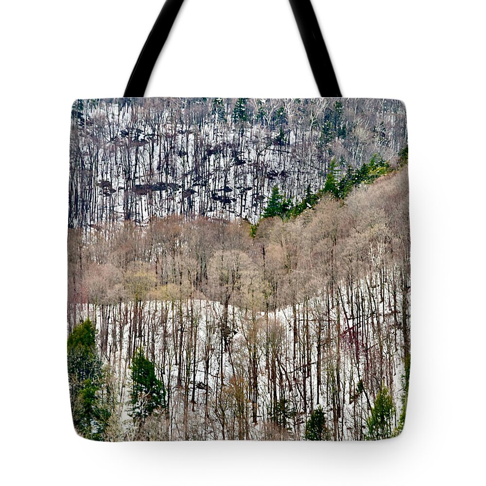 Vermont Tote Bag featuring the photograph Vermont Abstract Dreamscape by Debra Banks