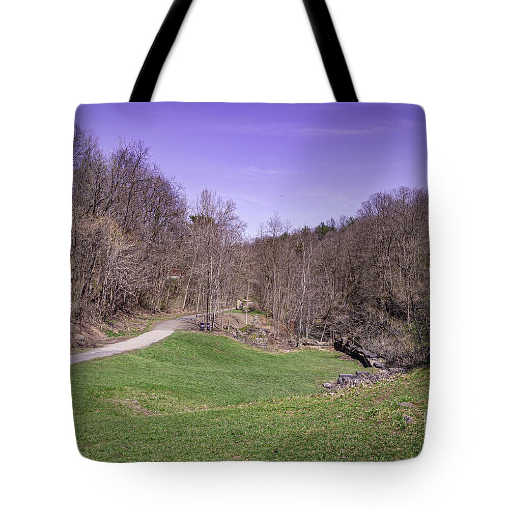 Park Tote Bag featuring the photograph Walk in the Park #2 by William Norton