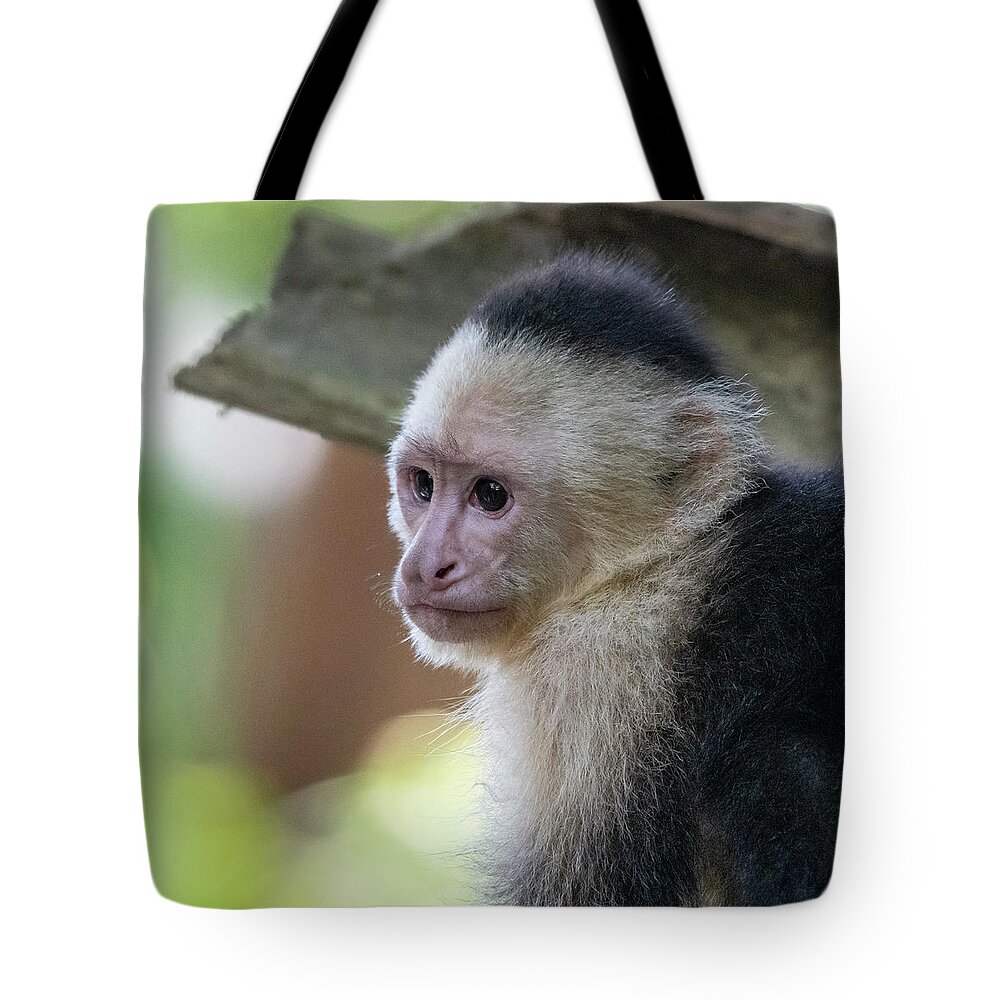 Monkey Tote Bag featuring the photograph White-faced Monkey #2 by Ken Stampfer