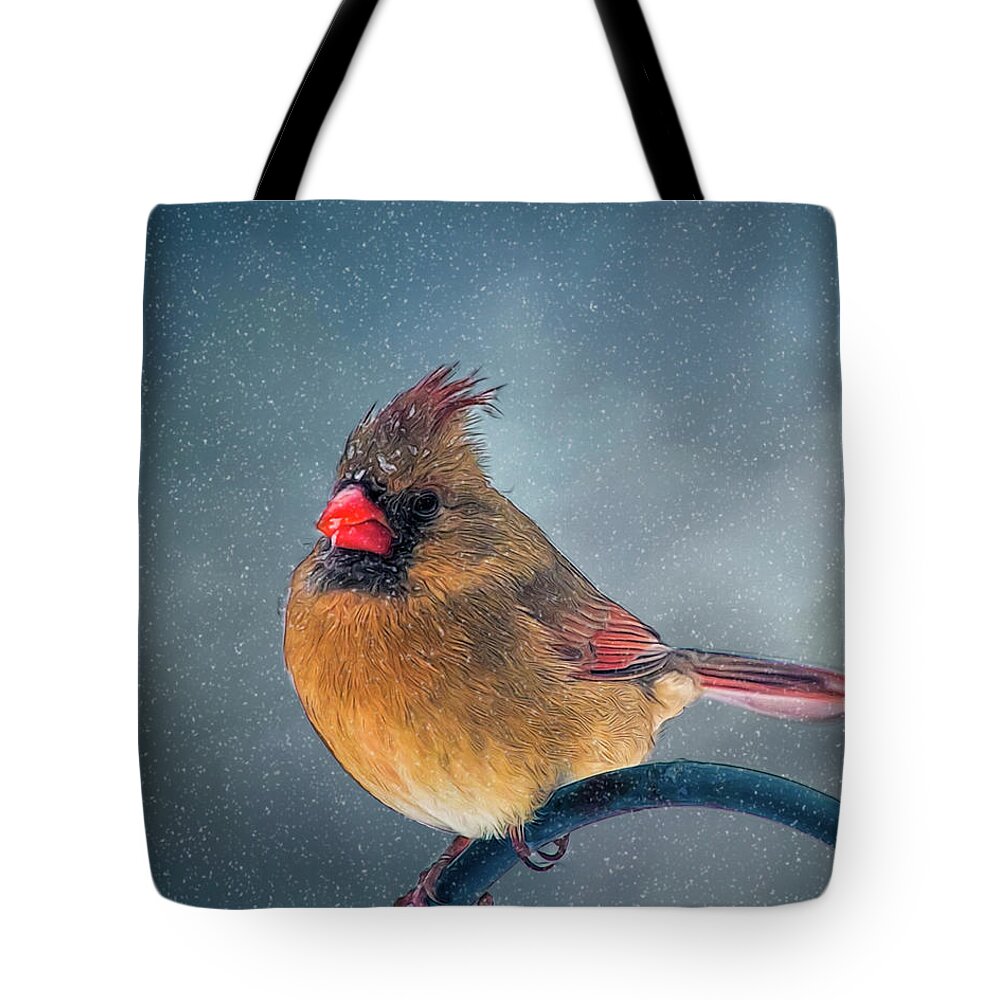Bird Tote Bag featuring the photograph Winter Cardinal by Cathy Kovarik