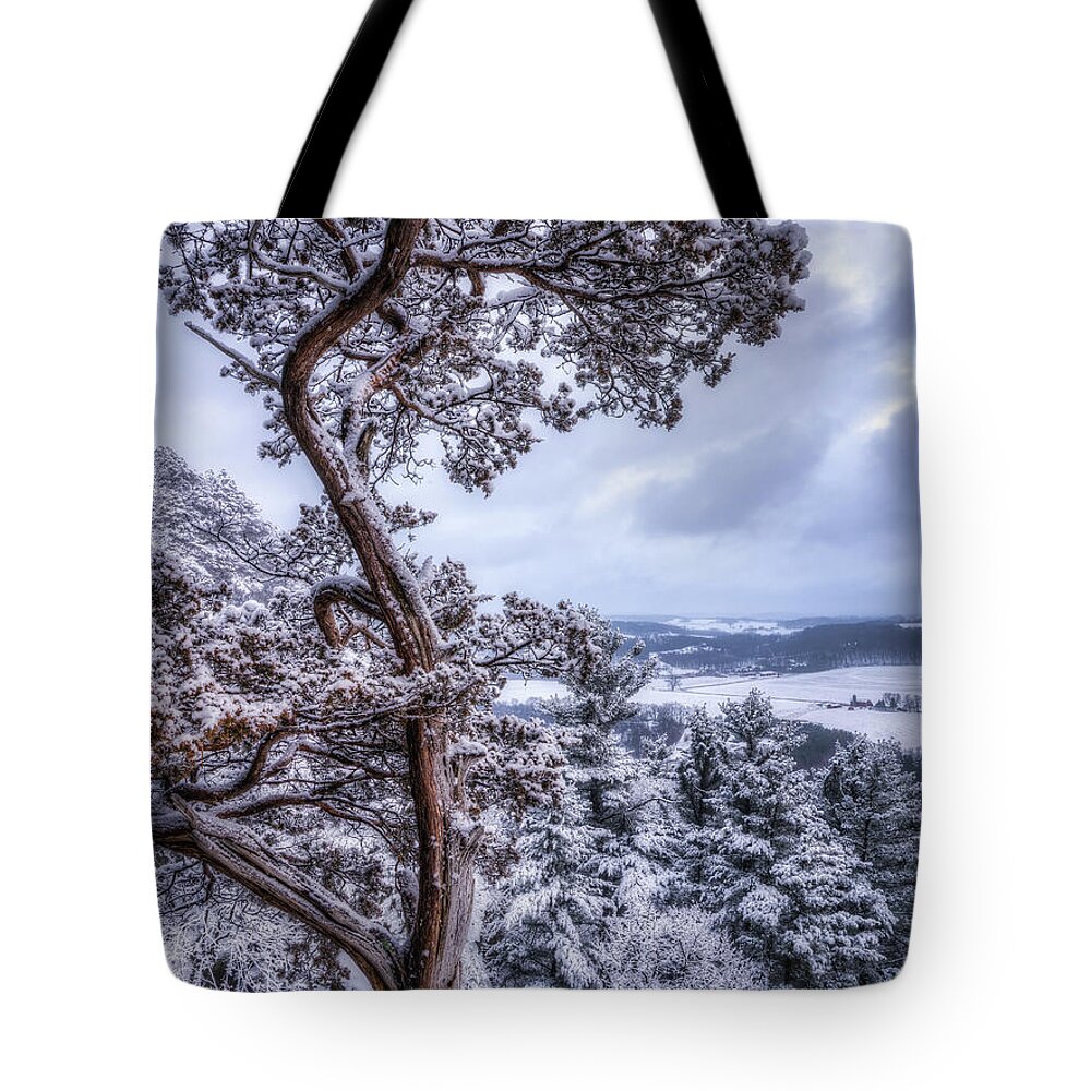 Snow Tote Bag featuring the photograph Winter Wonderland #2 by Brad Bellisle