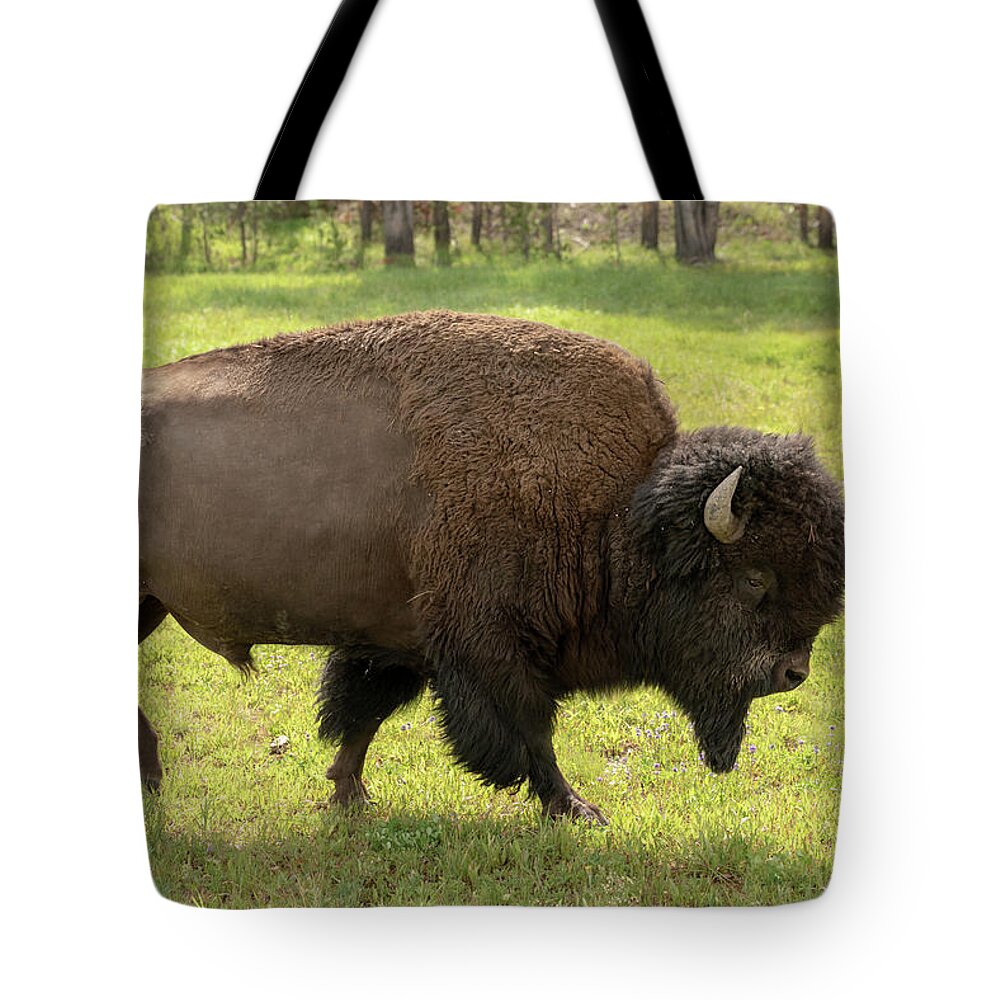 Buffalo Tote Bag featuring the photograph 2018 Buffalo-1 by Tara Krauss