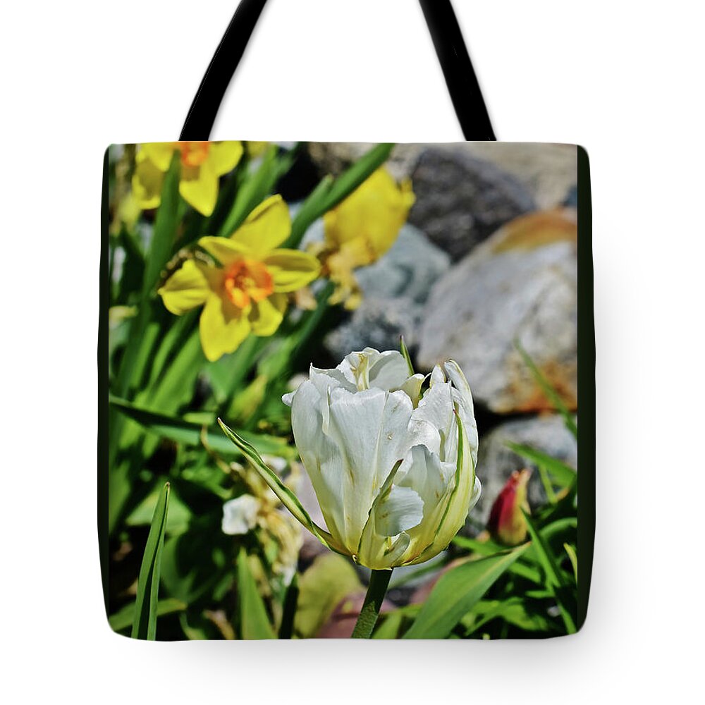 Tulips Tote Bag featuring the photograph 2020 Acewood Tulips By the Water 2 by Janis Senungetuk
