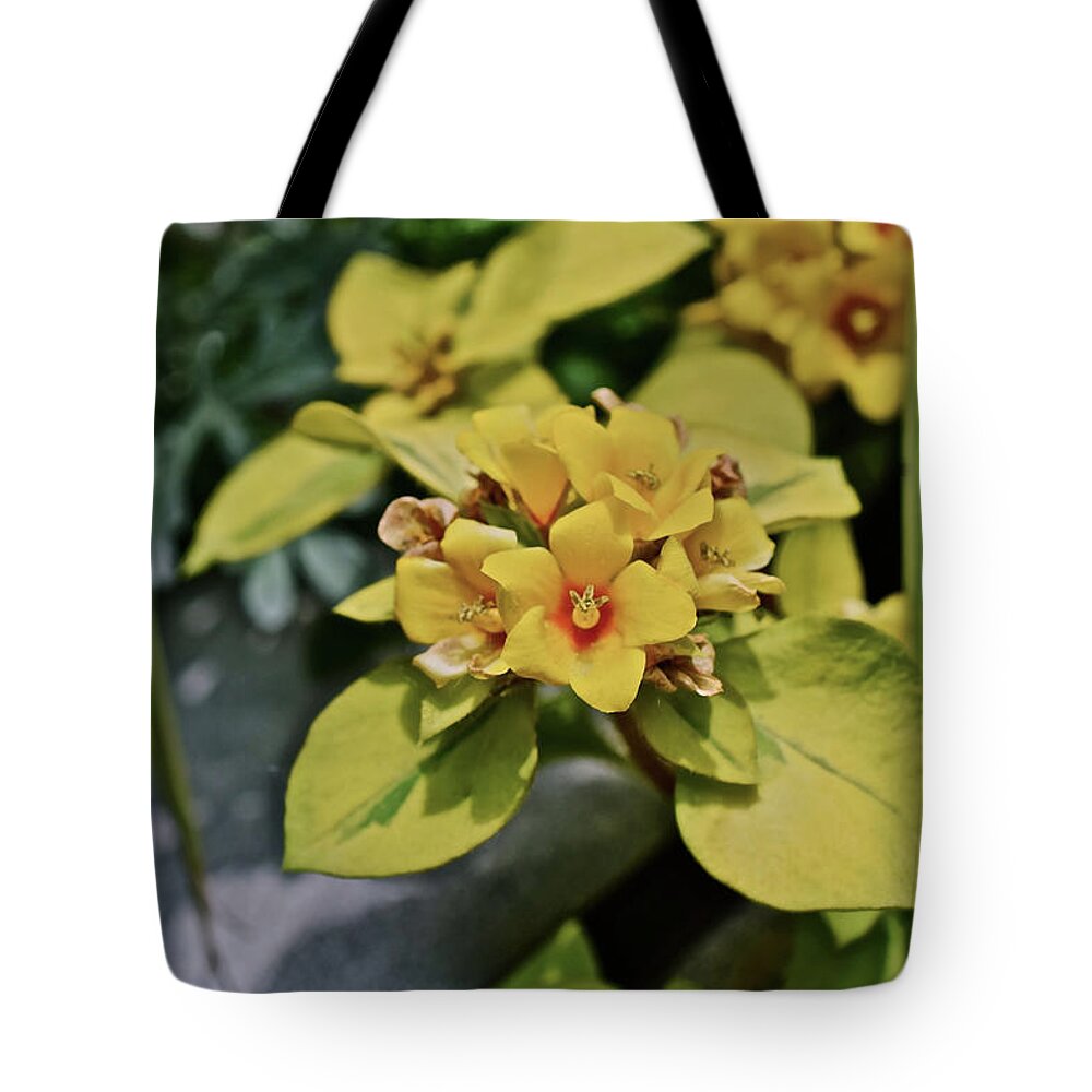 Flowers Tote Bag featuring the photograph 2020 Mid June Garden Container 1 by Janis Senungetuk