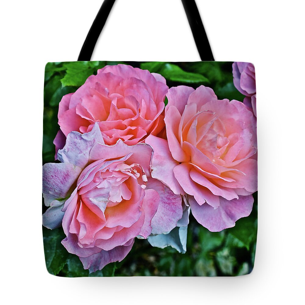 Roses Tote Bag featuring the photograph 2020 Mid June Garden Coral Roses 1 by Janis Senungetuk