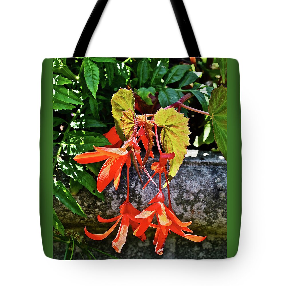 Begonia Tote Bag featuring the photograph 2020 Mid June Garden Welcome by Janis Senungetuk